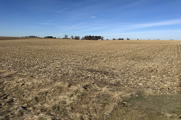 Photo Jan 12 2026, 12 27 17 PM