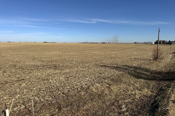 Photo Jan 12 2026, 12 29 05 PM