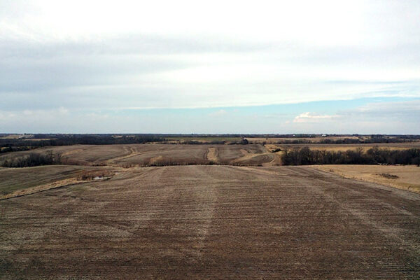 01_6f97ef95f5583210_1772860745975