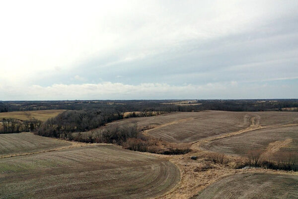 02_80ee1edab83b0a4c_1772860776443