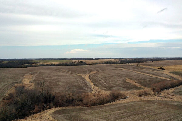 03_3394a702e770b5de_1772860968120