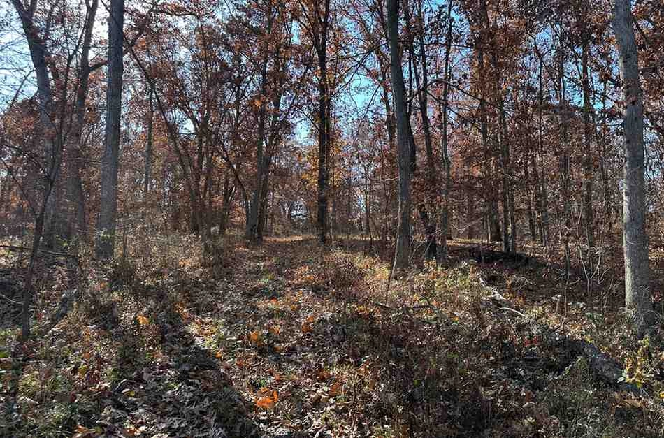 Davis County SWCD | Merit Auctions